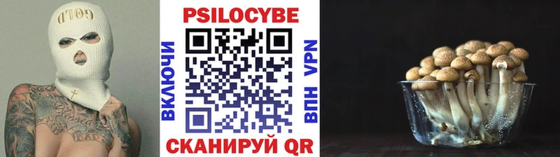 Купить где  Николаевск  Псилоцибиновые грибы GOLDEN TEACHER 